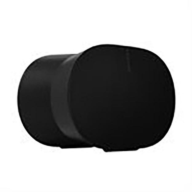 Picture of Sonos Era 300 Smart Speaker (Black)