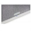 Picture of Denon Home 250 Wireless Speaker(white)
