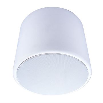 Picture of Beale Street Pendant Speaker Enclosure 6.5" (White)