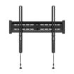 Picture of Red Atom 24"-60" Fixed Wall Mount