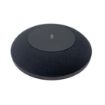 Picture of RTI IVB Expansion Microphone - 16ft (5m) Range