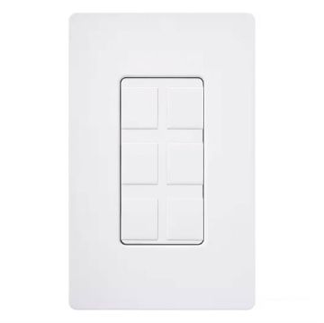 Picture of Lutron Claro 6-Port Frame with Blanks (white)