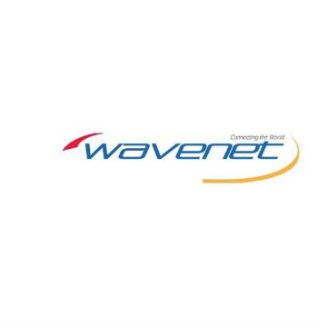 Picture of Wavenet CAT5E Riser CMR 350MHZ 1000' Reeflex(White)