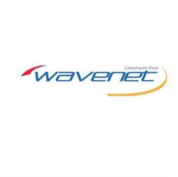 Picture of Wavenet Cat 6A Unshielded Riser 1000' (white) UL