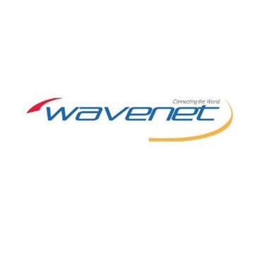 Picture of Wavenet Cat 6 PVC SOLID SHIELDED 600MHZ 1,000' REEL(grey)