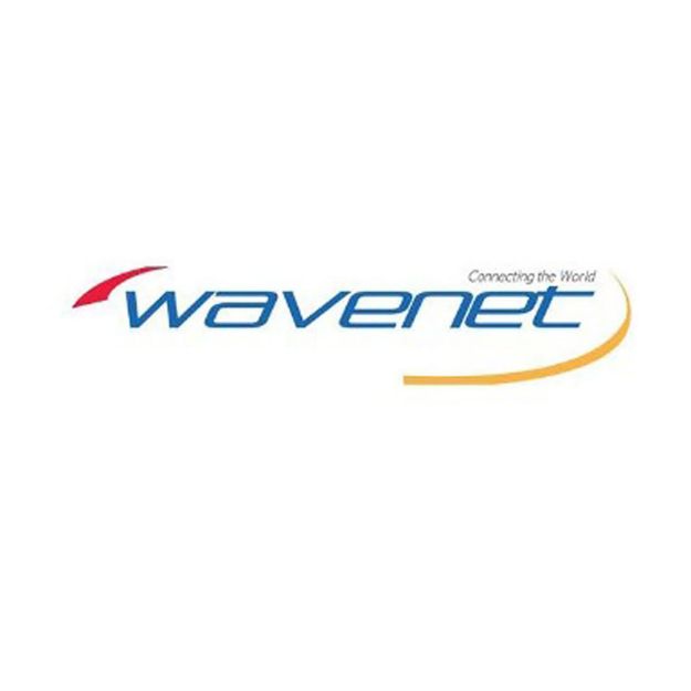 Picture of Wavenet Cat 6 PVC SOLID SHIELDED 600MHZ 1,000' REEL(grey)