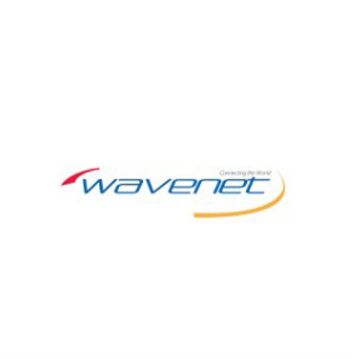 Picture of Wavenet Cat 6 PVC SOLID SHIELDED 600MHZ 1,000' REEL(red)