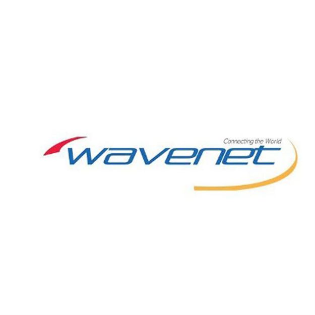 Picture of Wavenet Cat 6 Plenum SC 550MHZ NO SPLINE 1,000' REELEX II(whi