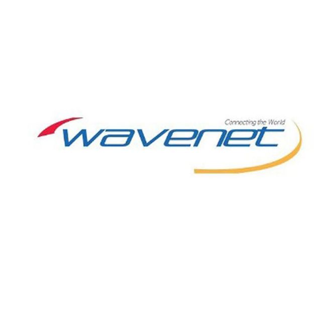 Picture of Wavenet Cat 6E PVC SC 600MHZ Riser CMR 1,000' BOX(green)
