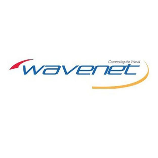 Picture of Wavenet Cat 6E PVC SC 550MHZ NO SPLINE CMR 1,000' REELEX II(blue)