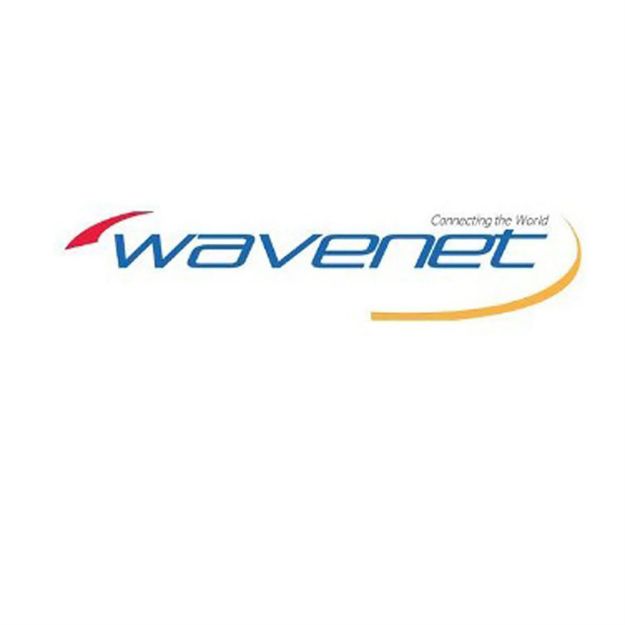 Picture of Wavenet Cat 6E PVC SC 550MHZ NO SPLINE CMR 1,000' REELEX II(green)