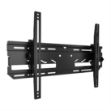 Picture of Chief Tilting Outdoor Wall Mount