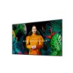 Picture of Samsung 65" 4K Commercial UHD 350 NIT Display