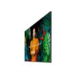 Picture of Samsung 75” 4K QLED Commercial Display