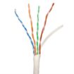 Picture of Red Atom Cat 6 Wire with Spline 1,000' Box (white)