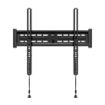 Picture of Red Atom 24"-60" Fixed Wall Mount