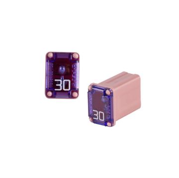 Picture of Install Bay 30 Amps Micro Female Time Delay Fuse (single)