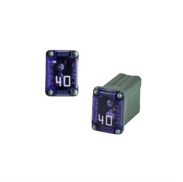 Picture of Install Bay 40 Amps Micro Female Time Delay Fuse (single)
