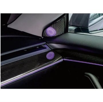 Picture of Rydeen Tesla Laser Engraved Ambient Lights 2019-2023 Model Y