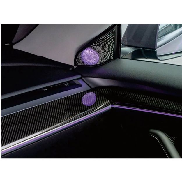 Picture of Rydeen Tesla Laser Engraved Ambient Lights 2019-2023 Model Y