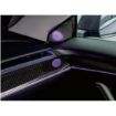 Picture of Rydeen Tesla Laser Engraved Ambient Lights 2021-2023 Model 3