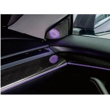 Picture of Rydeen Tesla Laser Engraved Ambient Lights 2021-2023 Model 3