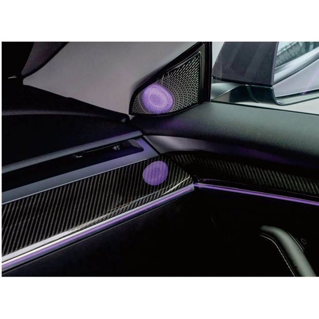Picture of Rydeen Tesla Laser Engraved Ambient Lights 2021-2023 Model 3
