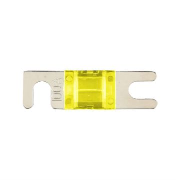 Picture of Install Bay 100 Amps ANL Mini Fuses (10 pk)