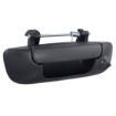 Picture of iBEAM Tailgate Handle Camera 2002-08 Dodge RAM
