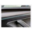 Picture of Rydeen Tesla Carbon Fiber Inst Trim Panel Cover, Stick On, 2024+ Model Y (matte black)