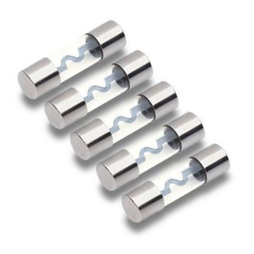 Picture of T-Spec v8 40 Amps AGU Fuses (5 pk)