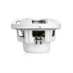 Picture of Triton Audio 10" Marine Subwoofer 40.5 oz. 250 W RMS/4 ohm (single)