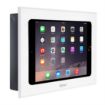 Picture of iPort Control Mount for iPads Gen 1-4