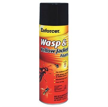 Picture of Enforcer 16oz Wasp and Hornet Foam Spray