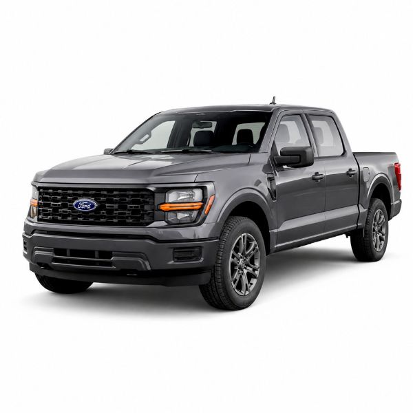 Picture for category Ford