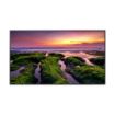 Picture of Samsung Commercial 43" 4K UHD LED Display 350NIT 16/7