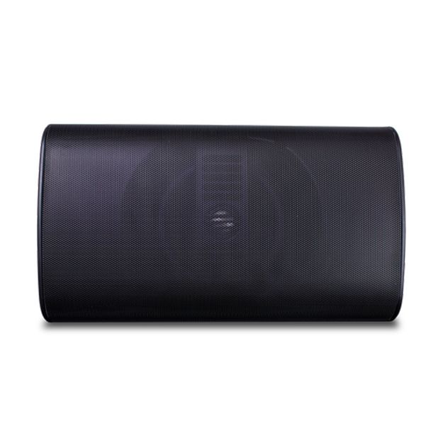 Picture of TruAudio 6" 2-Way Outdoor w/Swivot Bracket (black, single)