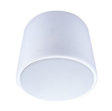 Picture of Beale Street White Pendant/Wall Mount Enclosure for 8" Sonic