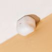 Picture of Shelly Wave Motion LR US