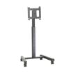 DOW Technologies. Chief Large Flat Panel Mobile AV Cart