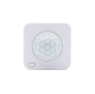 Picture of Shelly BLU Motion ZB