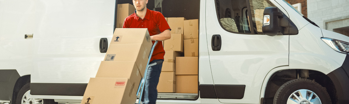Shipping and Delivery