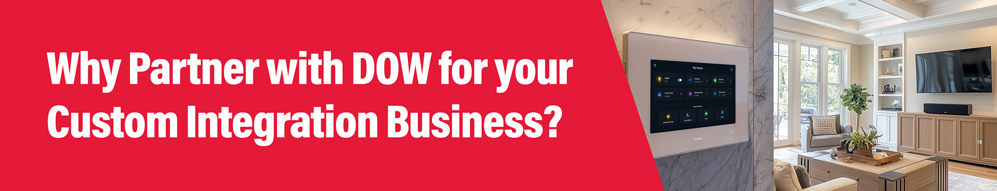 Why Partner with DOW for your CUstom Integration Business?
